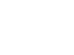 King Fusion Logo White